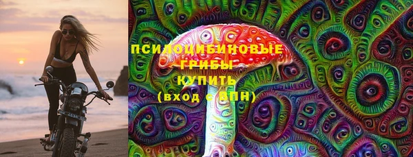 гидра Наволоки