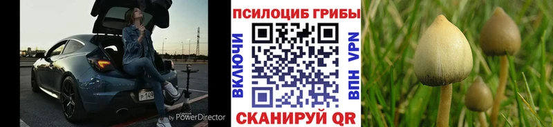 Купить  Ленск  Псилоцибиновые грибы GOLDEN TEACHER 